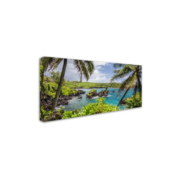 Pierre Leclerc 'Tropical Paradise Maui' Canvas Art,10x19